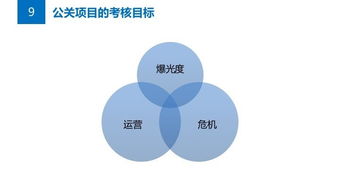 公关策划实战指南 从解决方案构思到项目落地的全方位攻略